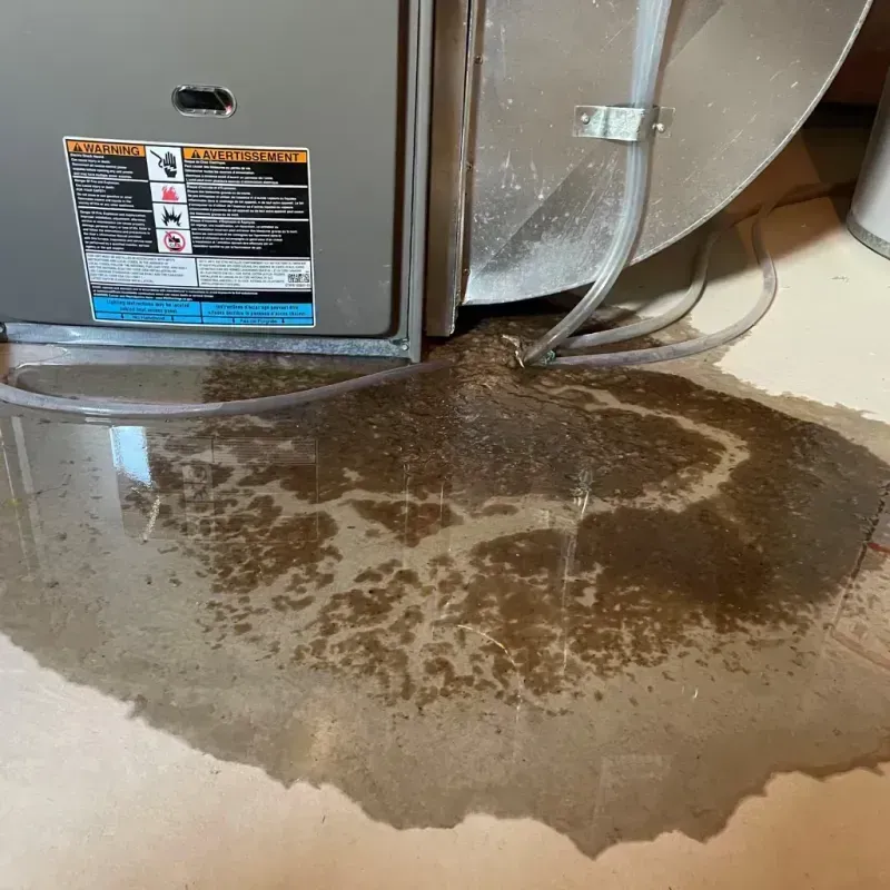 Appliance Leak Cleanup in Toms River, NJ